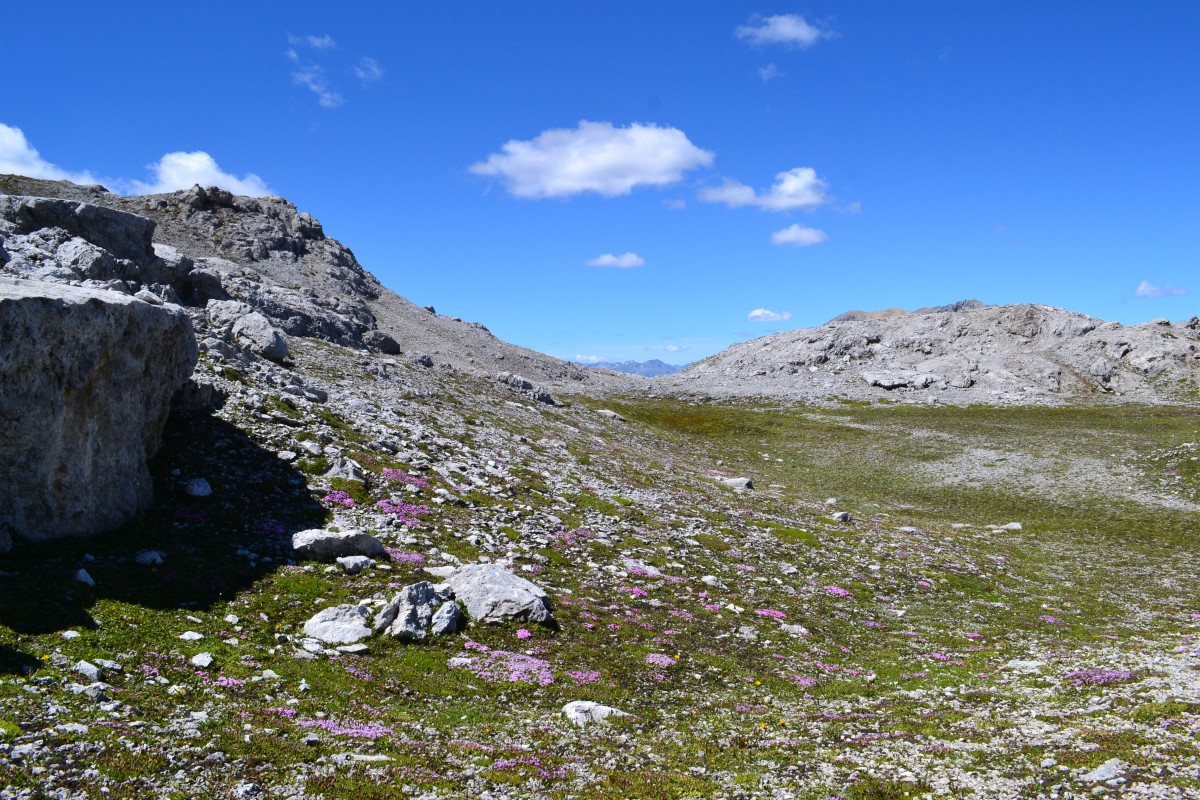 Cime di Rims, Piz Umbrail