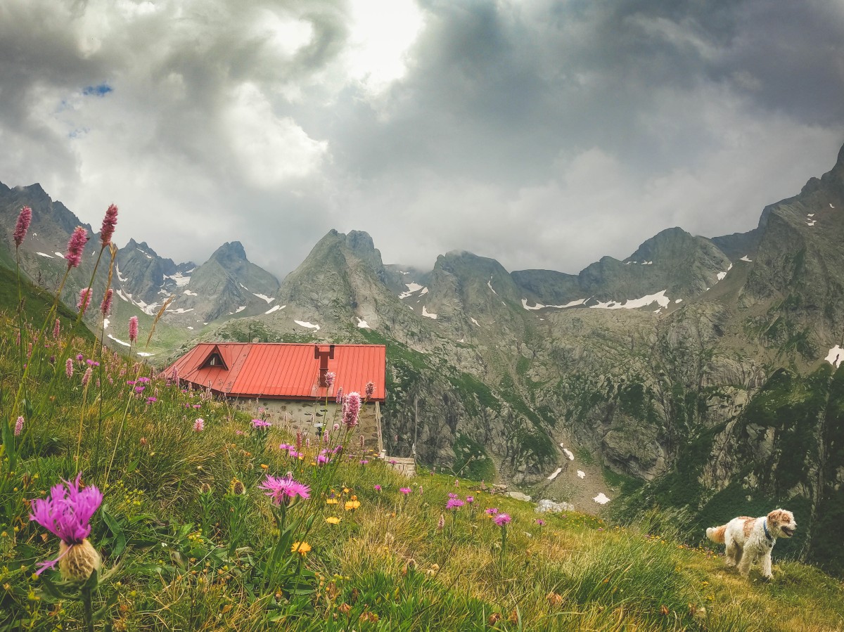 Rifugio Mambretti