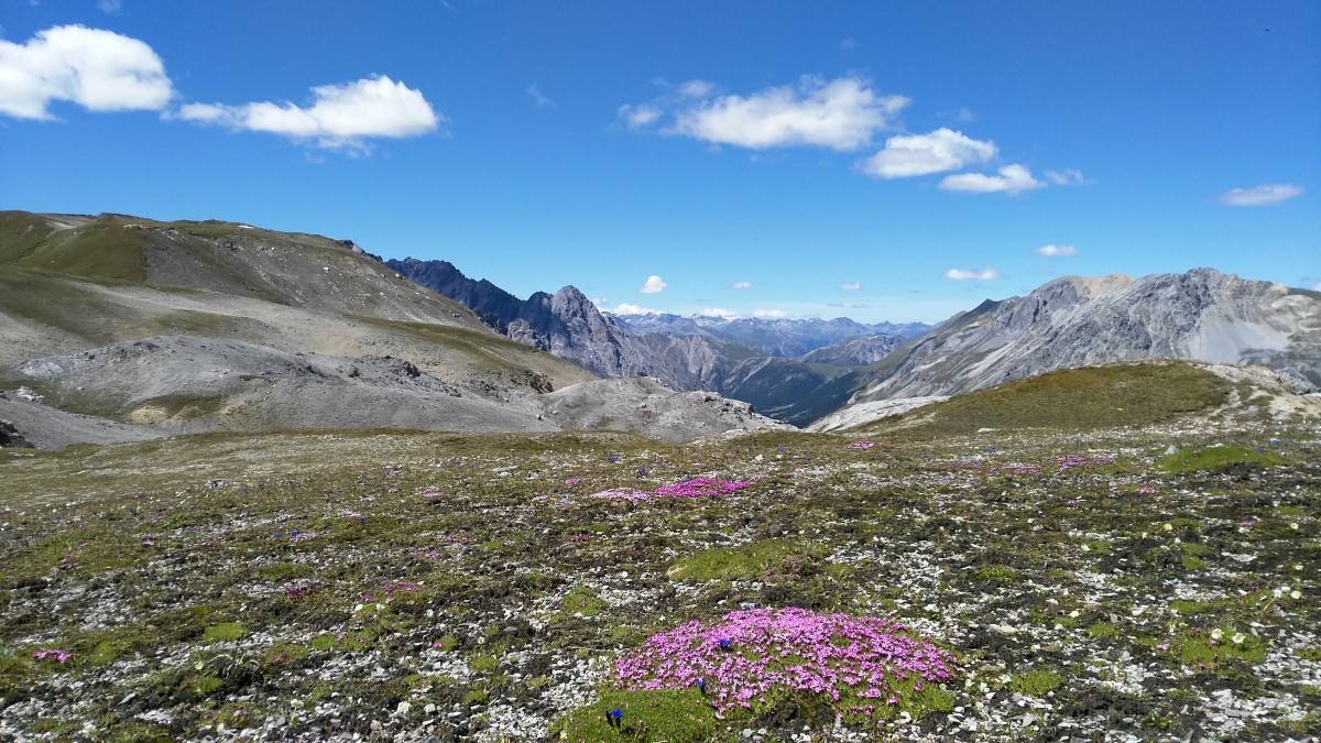 Cime di Rims, Piz Umbrail