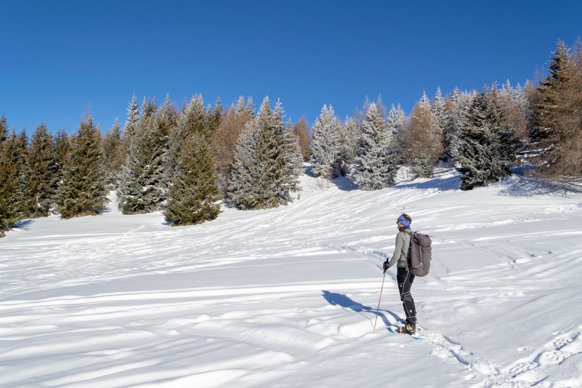  Monte Padrio