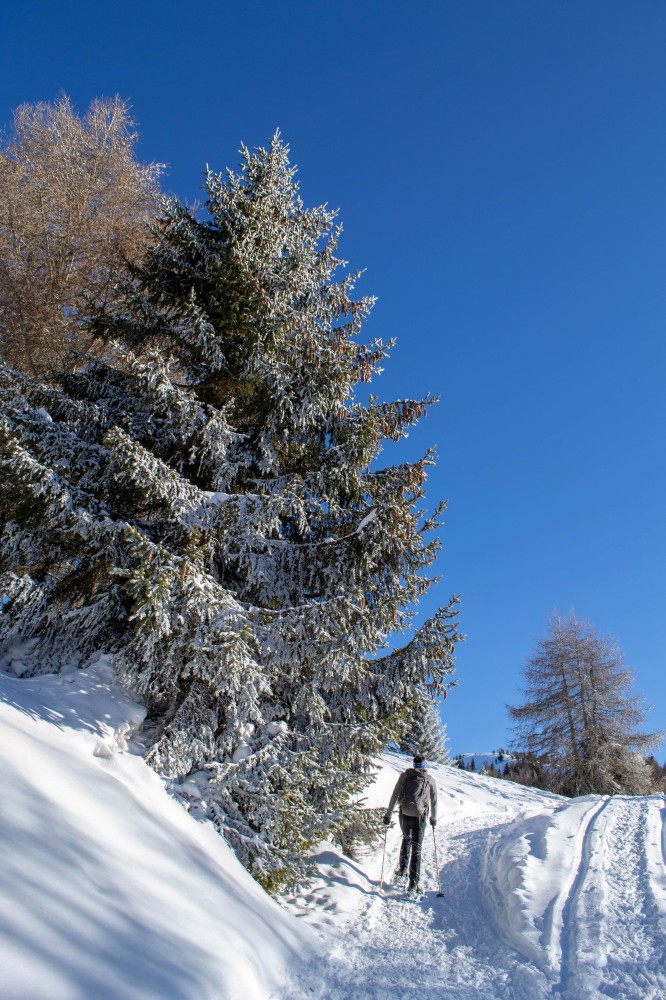 Monte Padrio