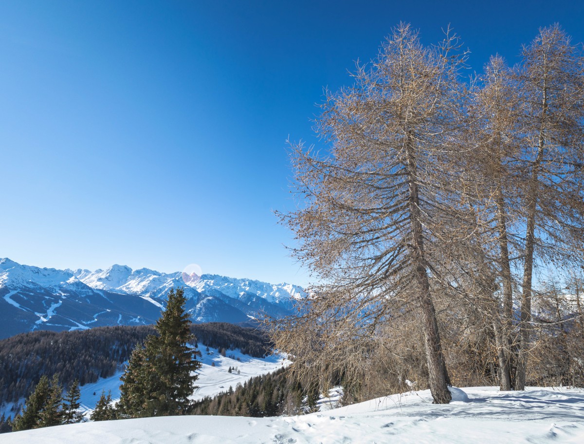 Monte Padrio