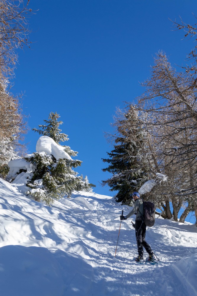 Monte Padrio