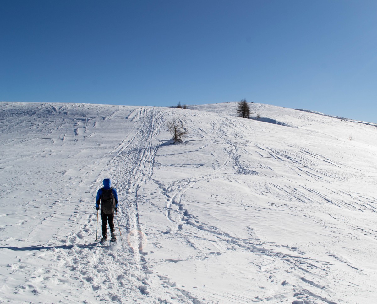 Monte Padrio