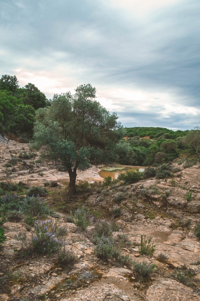 Su Fossu de su Para