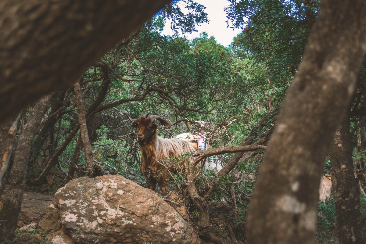 Su Fossu de su Para