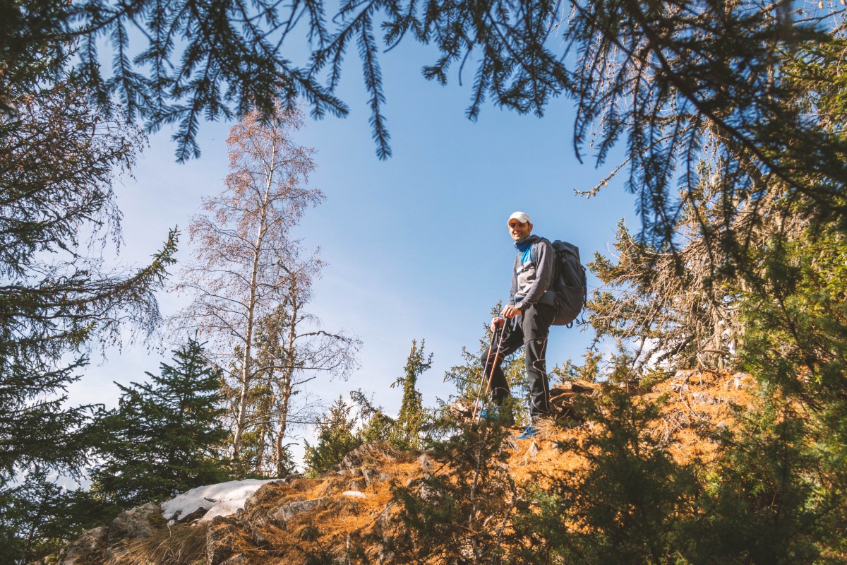 Salendo nel bosco