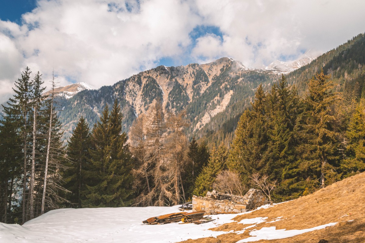  Panorama sull'Alpe Rogneda