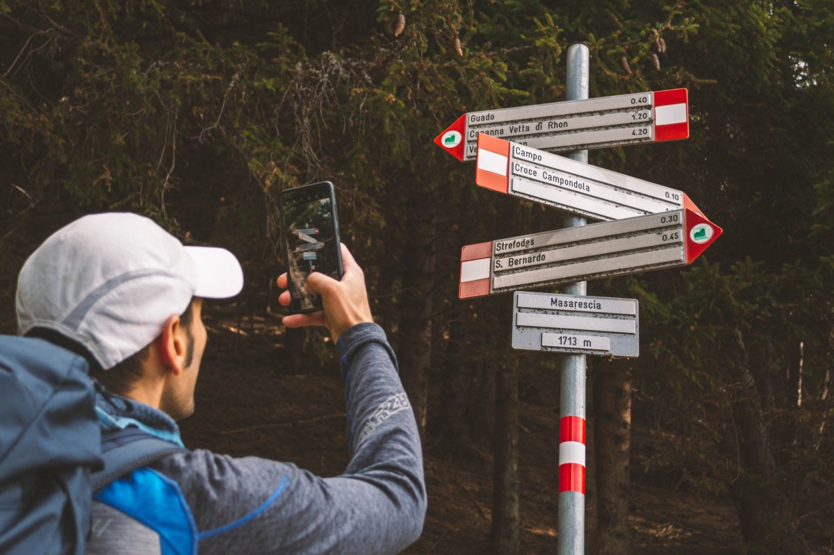 I cartelli nel bosco